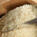 Le ministère du Commerce fixe les prix de vente de variétés de riz importées