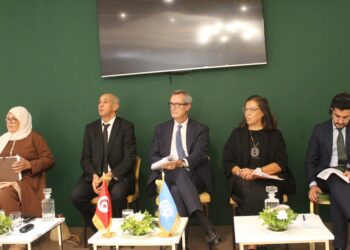 Territorialisation des ODD: la Tunisie franchit une nouvelle étape vers son Cadre national