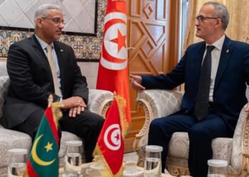Tunisie-Mauritanie: Renforcer la coopération et ouvrir de nouvelles perspectives de partenariat