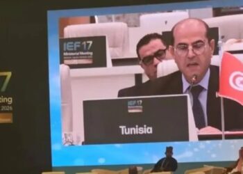 Sécurité énergétique: la Tunisie mise sur des partenariats renforcés à Riyad