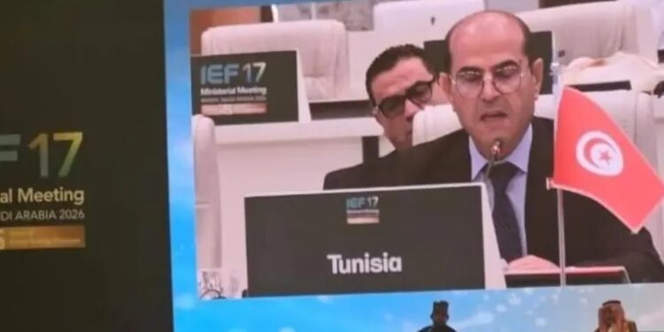 Sécurité énergétique: la Tunisie mise sur des partenariats renforcés à Riyad
