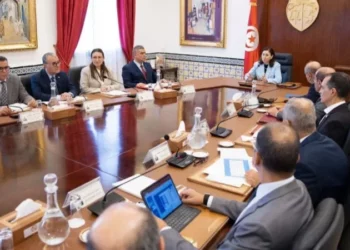 Tunisie : un plan d’action pour renforcer la capacité de production électrique
